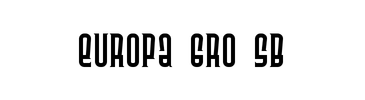 Releaser Serif  Free Fonts Download