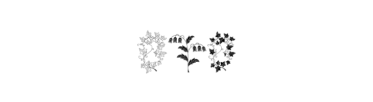 Azalleia Ornaments Free  Free Fonts Download