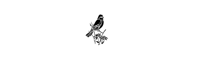 BirdsOne  Free Fonts Download