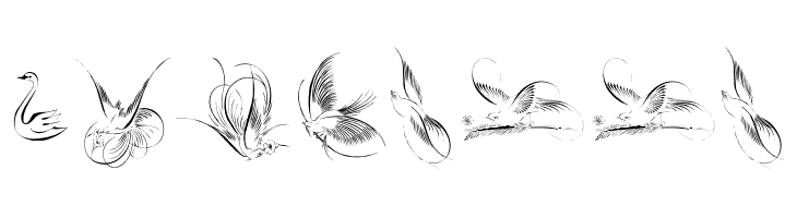 Penmanship Birds Free  Free Fonts Download