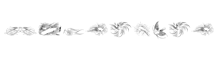 Penmanship Birds Free  Free Fonts Download