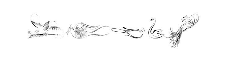 Penmanship Birds Free  Free Fonts Download