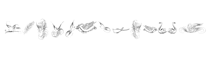 Penmanship Birds Free  Free Fonts Download