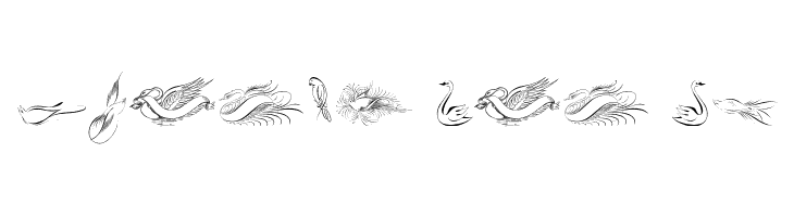 Penmanship Birds Free  Free Fonts Download