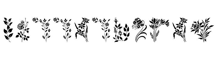 HFF Floral Stencil  Free Fonts Download