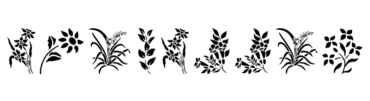 HFF Floral Stencil  Free Fonts Download