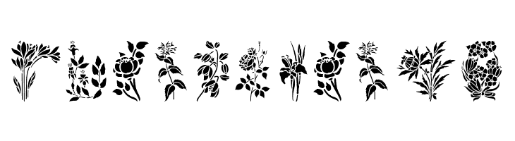 HFF Floral Stencil  Free Fonts Download