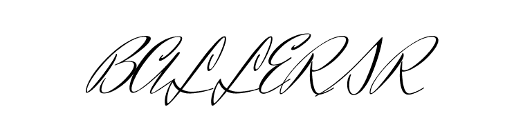 Herr Von Muellerhoff Regular  Free Fonts Download