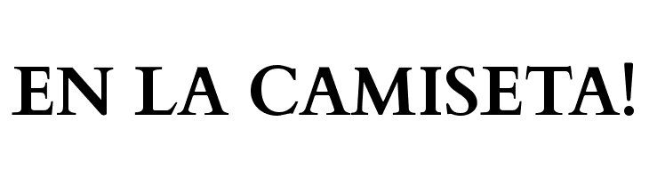 Cardo Bold  Free Fonts Download