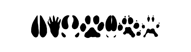 AnimalTracks  Free Fonts Download