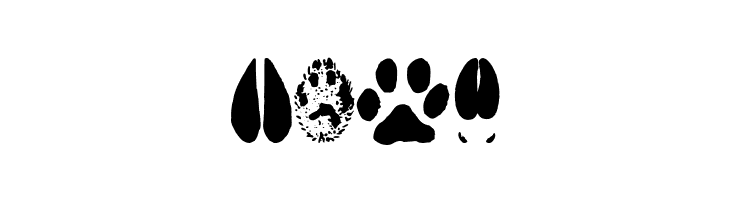 AnimalTracks  Free Fonts Download
