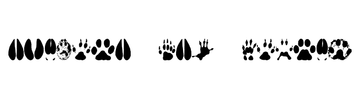 AnimalTracks  Free Fonts Download