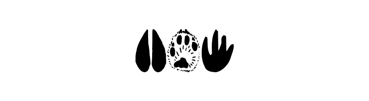 AnimalTracks  Free Fonts Download