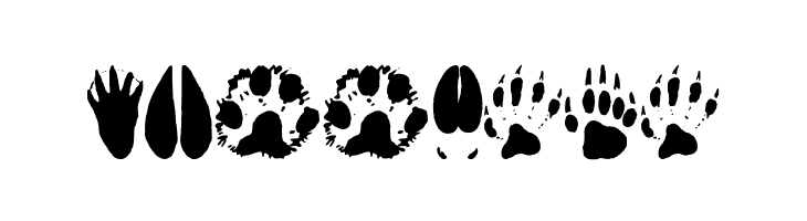 AnimalTracks  Free Fonts Download