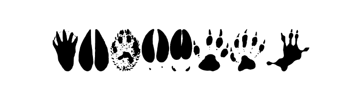 AnimalTracks  Free Fonts Download