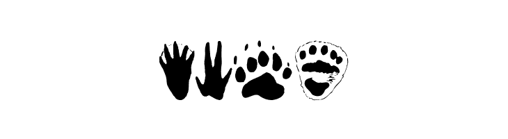 AnimalTracks  Free Fonts Download