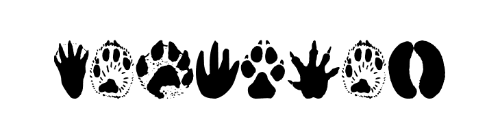 AnimalTracks  Free Fonts Download