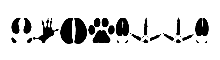 AnimalTracks  Free Fonts Download