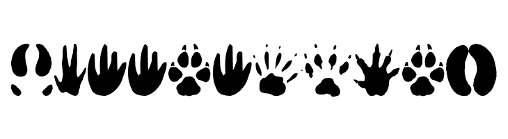 AnimalTracks  Free Fonts Download