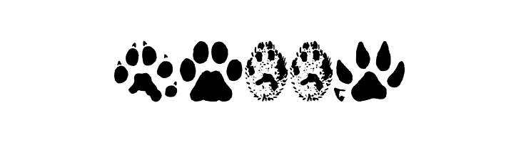AnimalTracks  Free Fonts Download