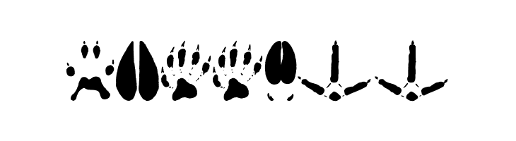 AnimalTracks  Free Fonts Download