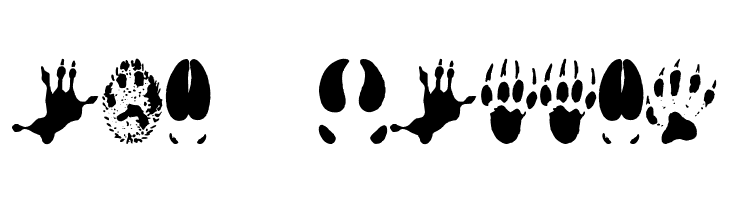 AnimalTracks  Free Fonts Download