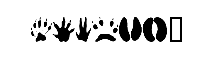 AnimalTracks  Free Fonts Download