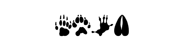 AnimalTracks  Free Fonts Download