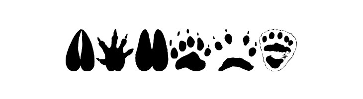 AnimalTracks  Free Fonts Download