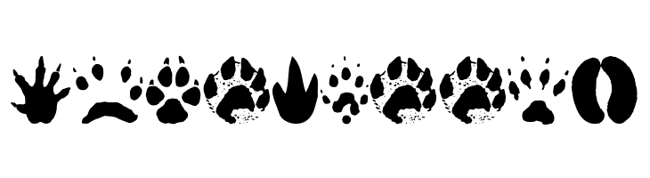 AnimalTracks  Free Fonts Download