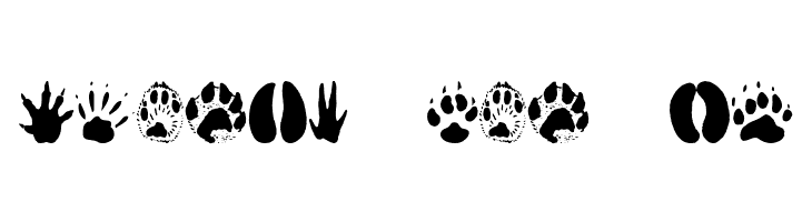 AnimalTracks  Free Fonts Download