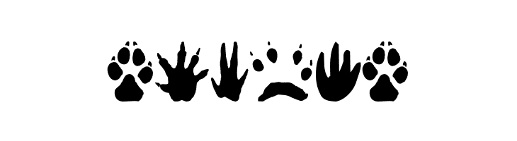 AnimalTracks  Free Fonts Download