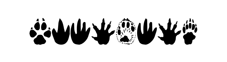 AnimalTracks  Free Fonts Download