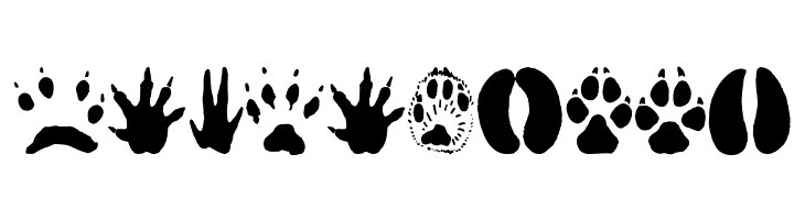 AnimalTracks  Free Fonts Download