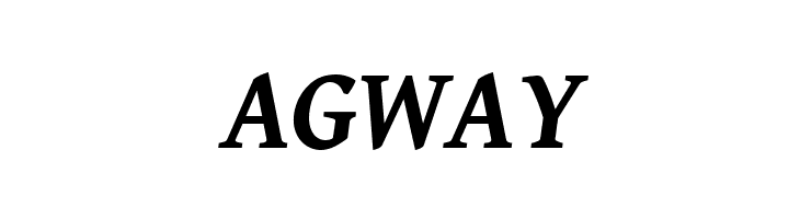 Gentium Book Basic Bold Italic  Free Fonts Download