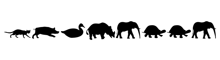 Animals  Free Fonts Download