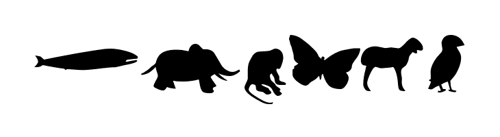 Animals  Free Fonts Download