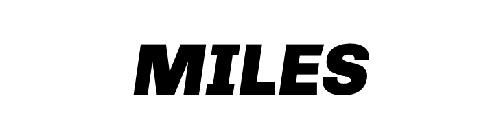 Chivo-BlackItalic  Free Fonts Download