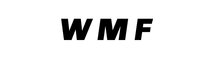 Chivo-BlackItalic  Free Fonts Download