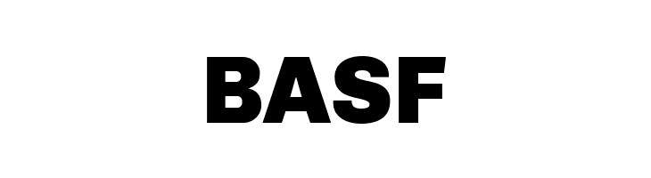 BASF Chivo Black Font