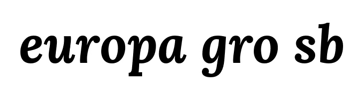 Lora Bold Italic  Free Fonts Download