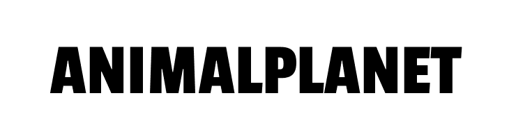 ANIMALPLANET Passion One Font