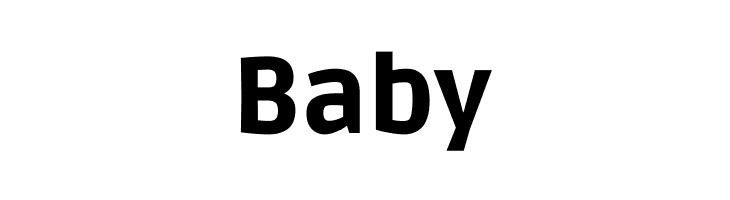 Ruda Black  Free Fonts Download