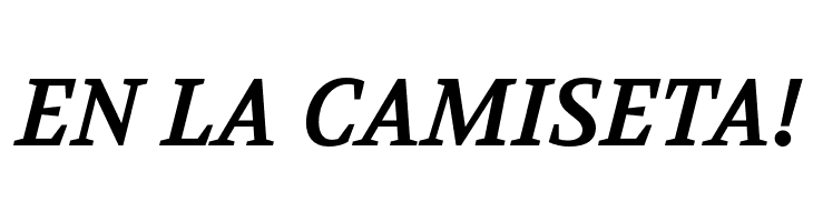 Volkhov-BoldItalic  Free Fonts Download