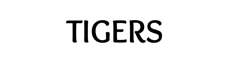 Overlock Bold  Free Fonts Download