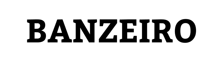 Bitter Bold  Free Fonts Download