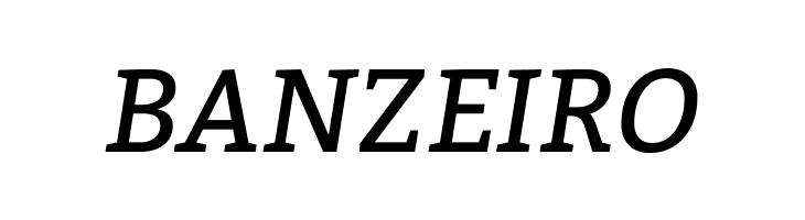 Bitter Italic  Free Fonts Download