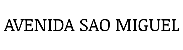 Noticia Text  Free Fonts Download