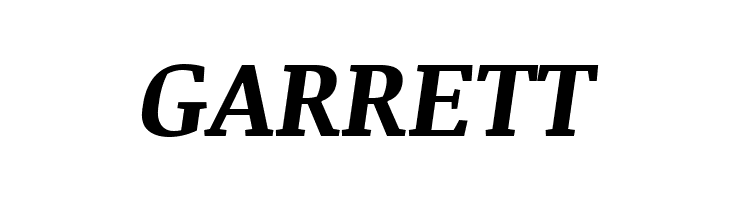 Noticia Text Bold Italic  Free Fonts Download