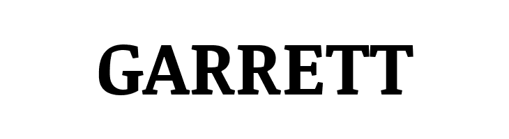 Noticia Text Bold  Free Fonts Download